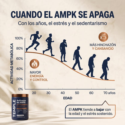 TEMPLE — Recuperá un cuerpo firme, sin panza y con energía real.